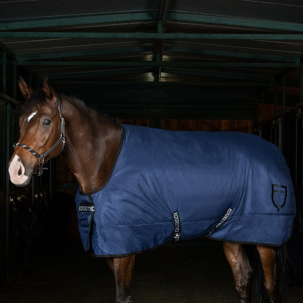 Coperta cavallo box antistrappo 400gr Equestro
