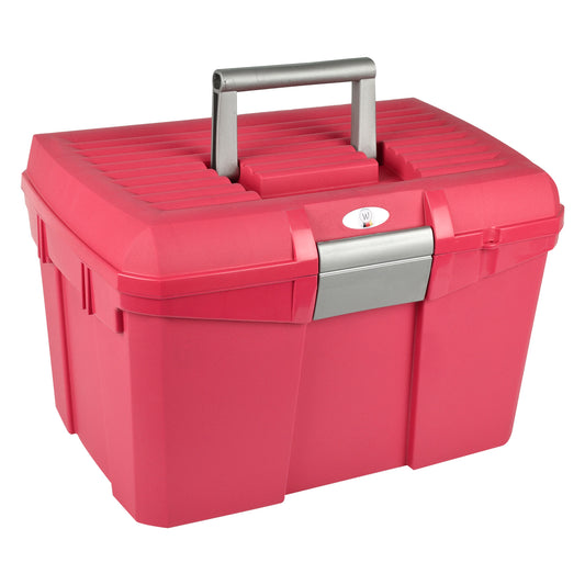 Valigetta kit di pulizia